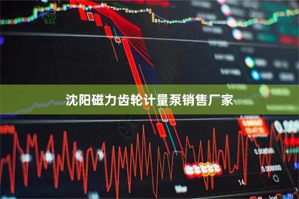沈阳磁力齿轮计量泵销售厂家